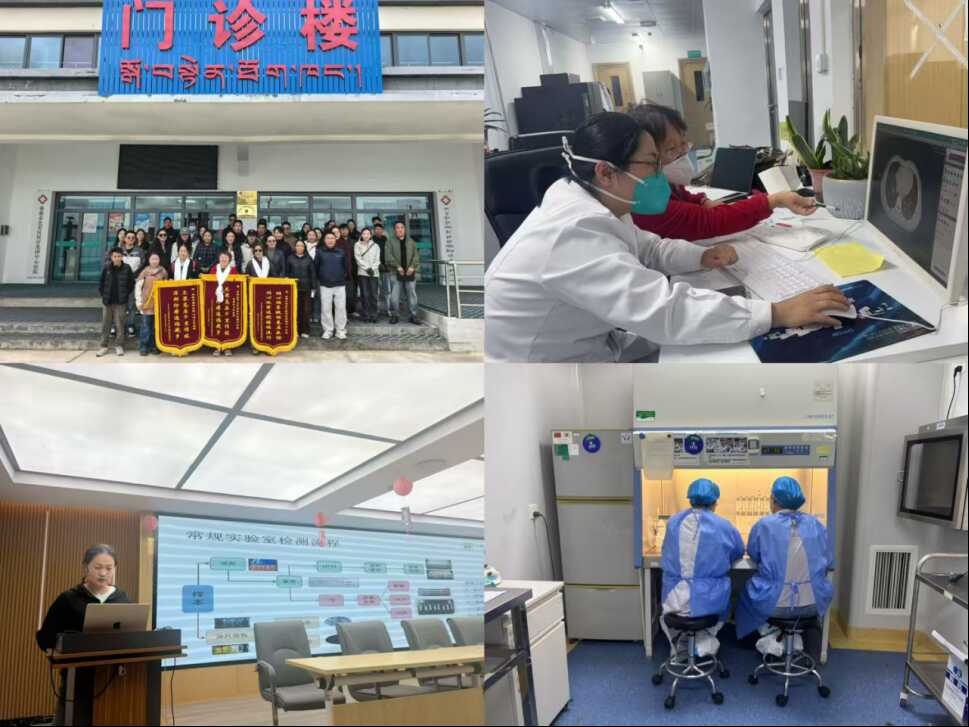 副本2026年西藏技术援助新闻稿(1)1398.png